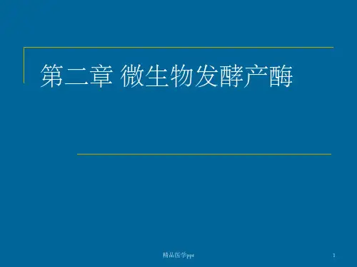 酶工程第二章微生物发酵产酶