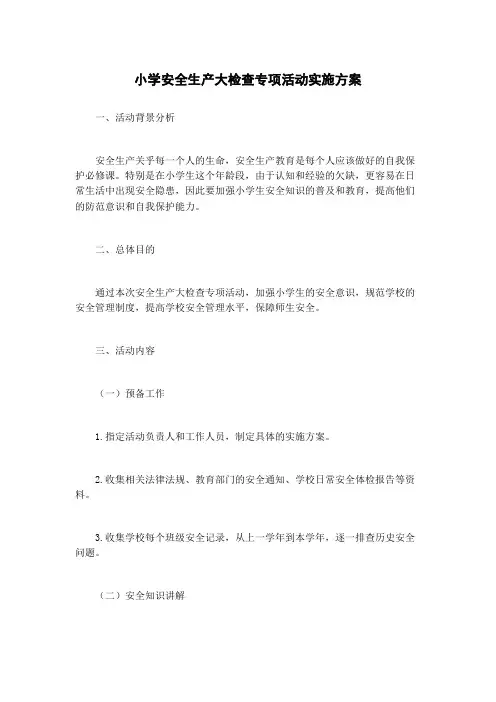 小学安全生产大检查专项活动实施方案