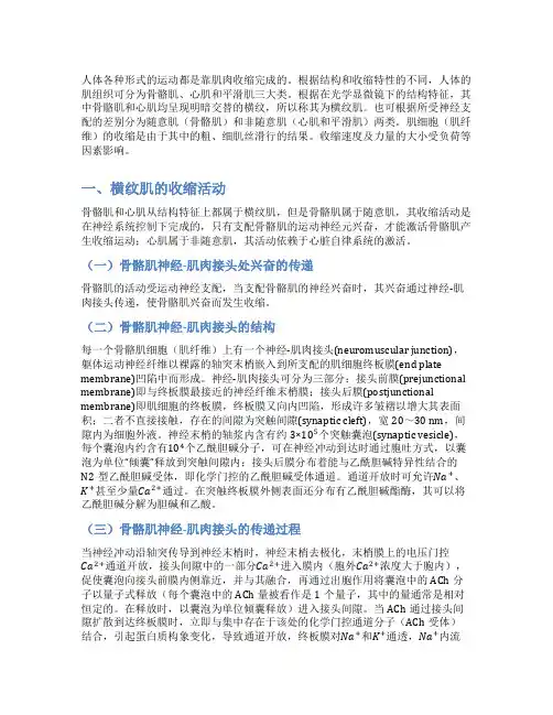 肌肉的收缩活动