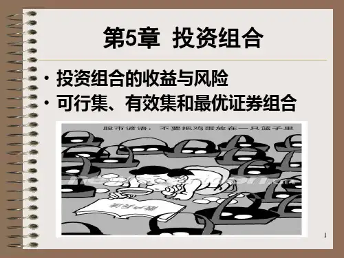 贺显南《投资学原理及应用》(第2版)课件 5-9章.