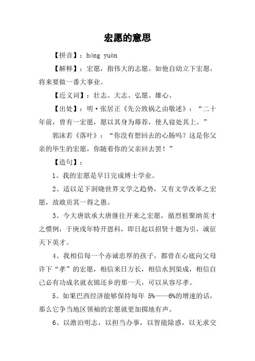 宏愿的意思
