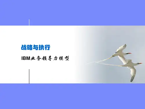 战略与执行之IBM业务领导力模型ppt课件