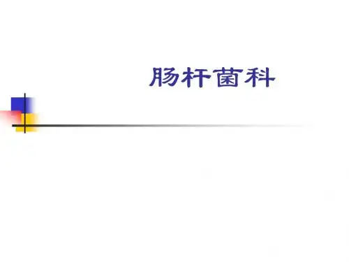 肠杆菌科鉴定全