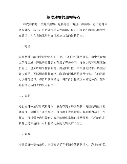 棘皮动物的结构特点
