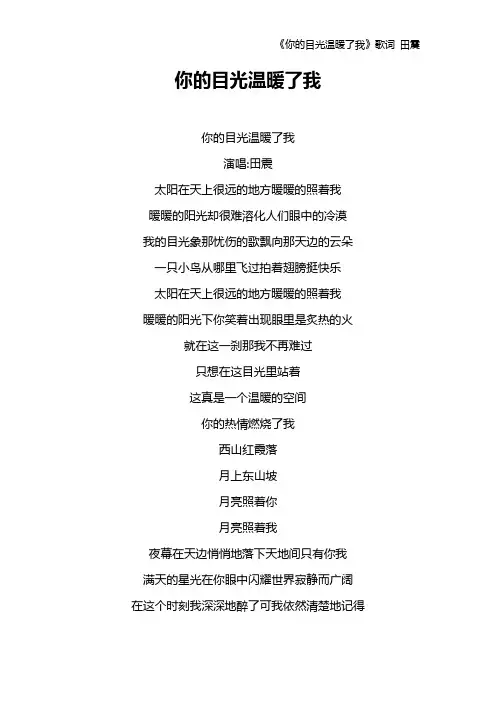 《你的目光温暖了我》歌词 田震