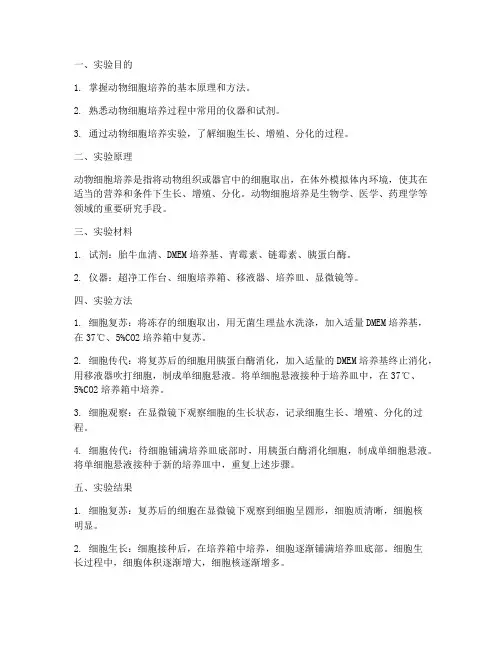 动物细胞培养实验报告