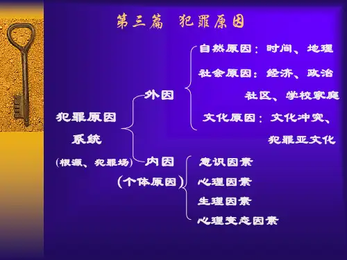 犯罪原因