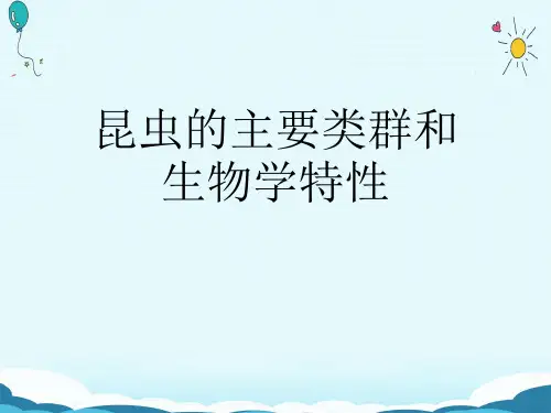 昆虫的主要类群和生物学特性