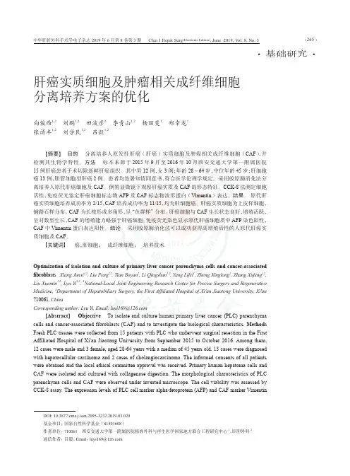 肝癌实质细胞及肿瘤相关成纤维细胞分离培养方案的优化