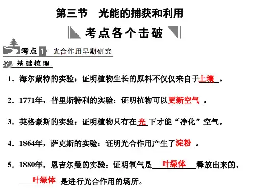光合作用知识点