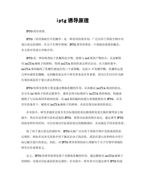 iptg诱导原理