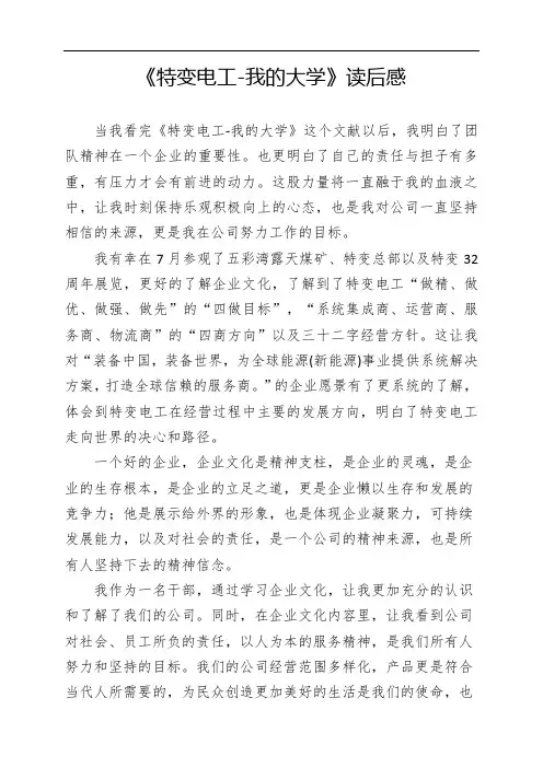《特变电工-我的大学》读后感2100字