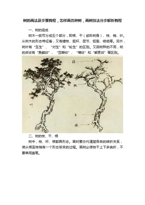 树的画法及步骤教程，怎样画各种树，画树技法分步解析教程