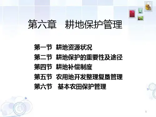 第六章-耕地保护与基本农田建设 PPT课件