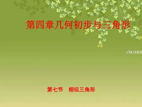 山东专版2019中考数学复习第1部分第四章几何初步与三角形第七节相似三角形课件