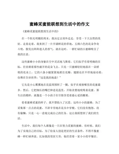 蜜蜂采蜜能联想到生活中的作文