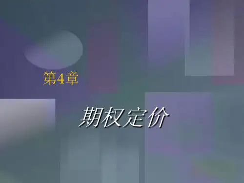 期权定价.ppt