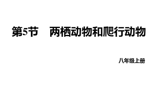 两栖动物和爬行动物++课件-2022-2023学年人教版生物八年级上册