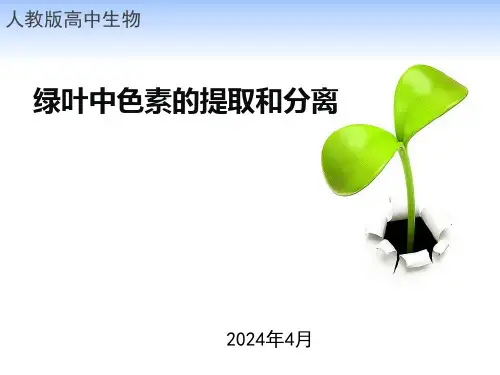 绿叶中色素的提取和分离说课
