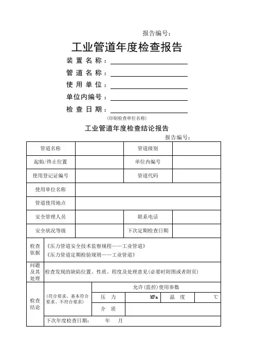 工业管道年度检查报告