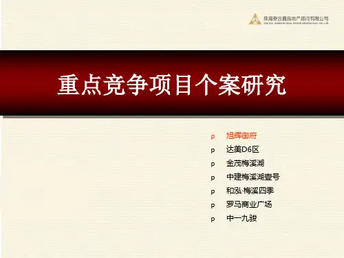 梅溪湖竞品个案分析