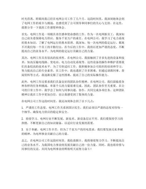 电网新员工工作感想体会