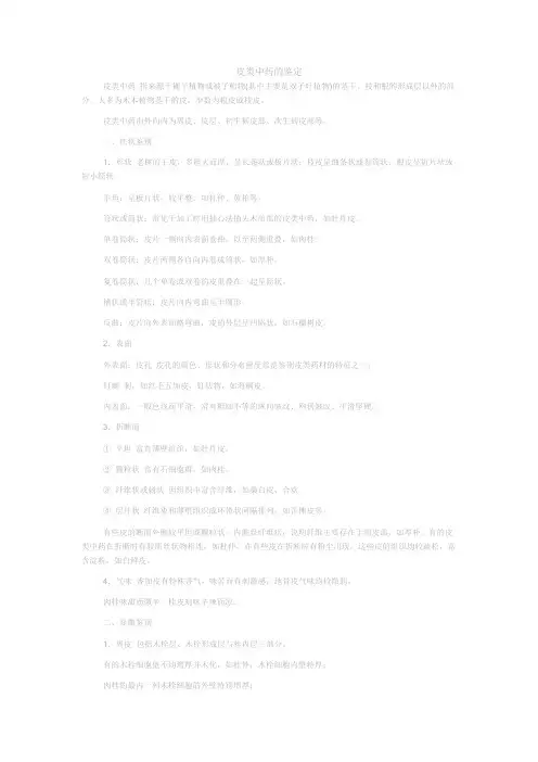 皮类中药的鉴定