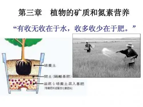 李合生植物生理学第三章矿质营养