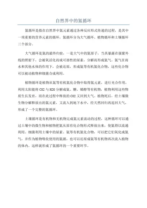 自然界中的氮循环