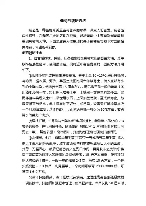 葡萄的栽培方法
