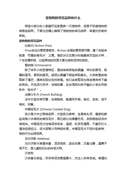 宠物狗的常见品种有什么