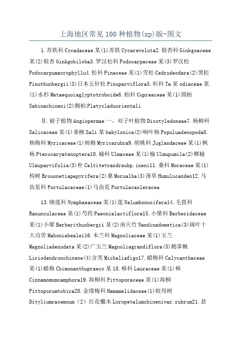 上海地区常见100种植物(xp)版-图文