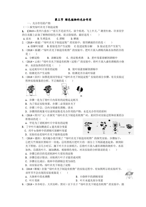 2019年中考生物真题分类：第三节绿色植物的光合作用【含答案】