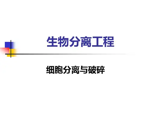 生物分离工程(三版)(孙彦)02