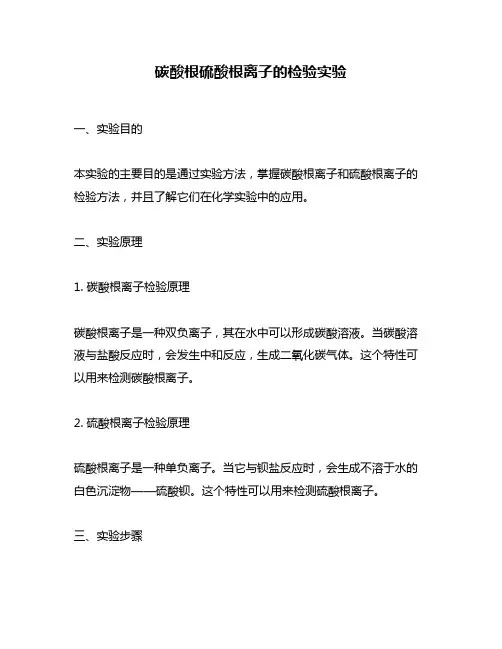 碳酸根硫酸根离子的检验实验
