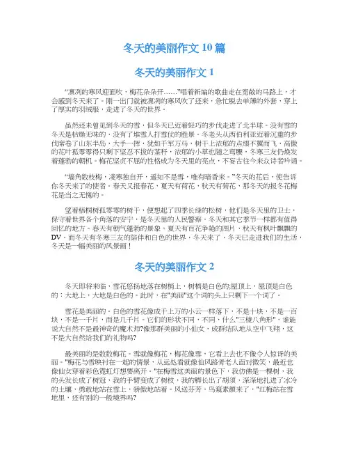 冬天的美丽作文10篇