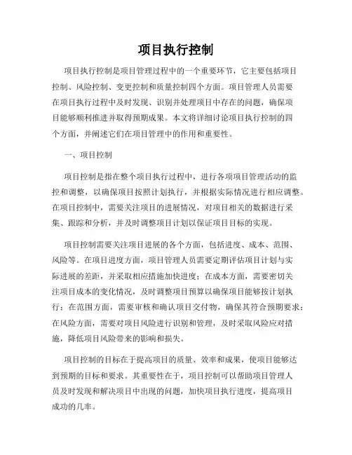项目执行控制