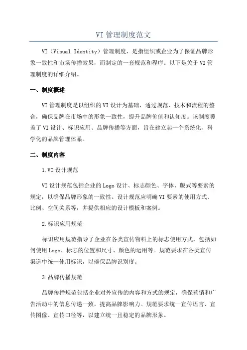 VI管理制度范文