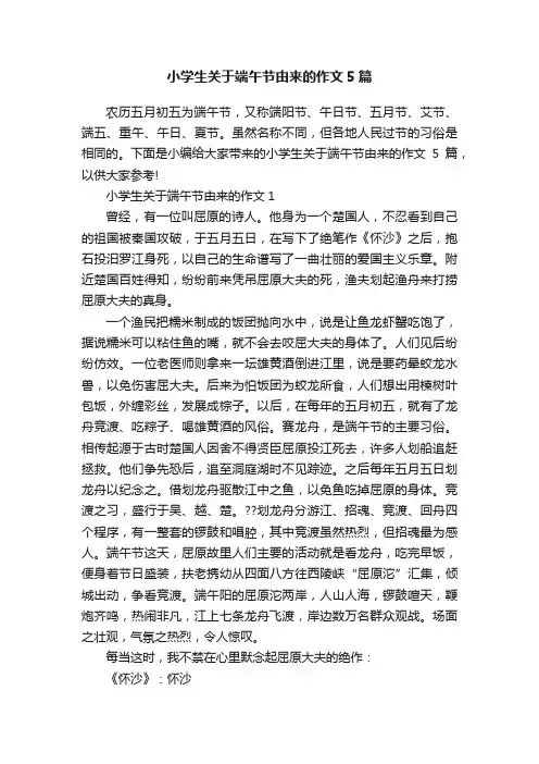 小学生关于端午节由来的作文5篇