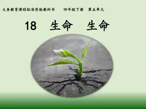 人教版小学语文《生命生命》课件