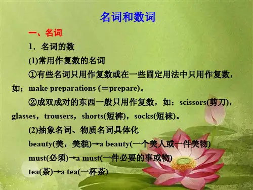 名词和数词