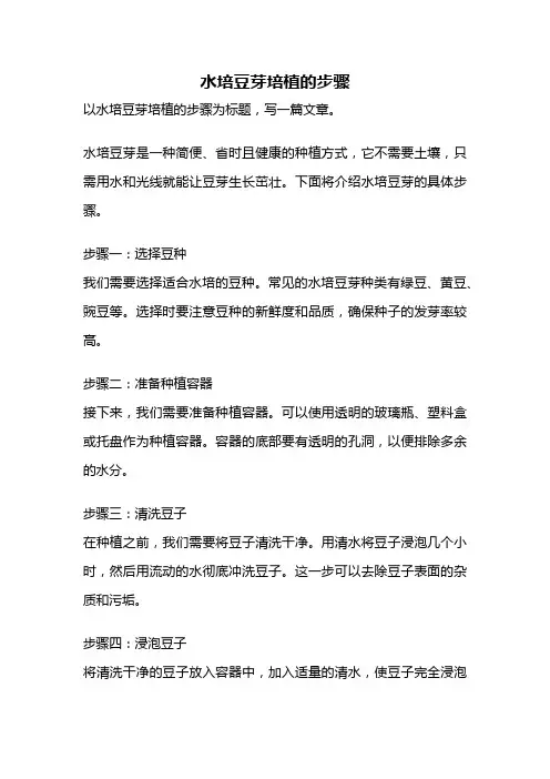 水培豆芽培植的步骤