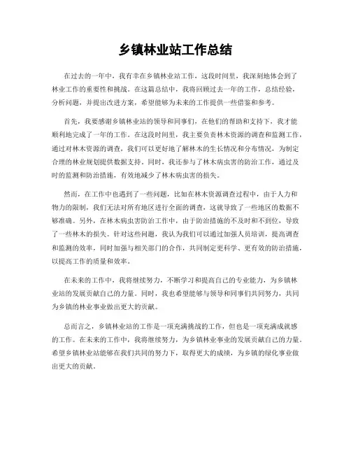 乡镇林业站工作总结