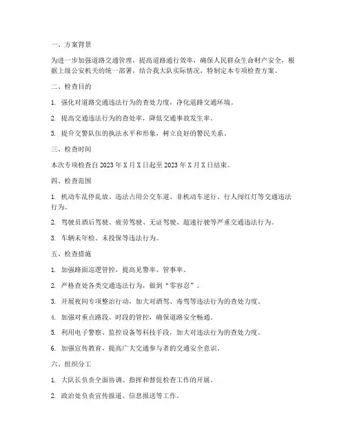 交警大队专项检查方案