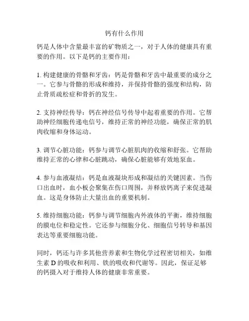 钙有什么作用