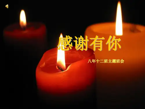 感谢有你PPT(1)