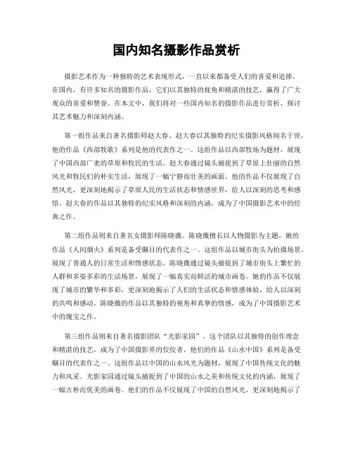 国内知名摄影作品赏析