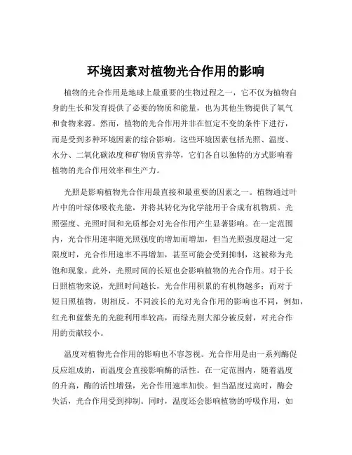 环境因素对植物光合作用的影响