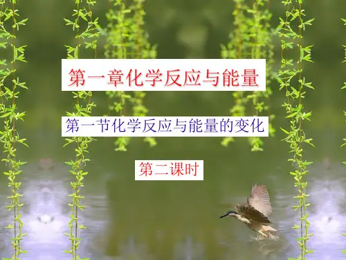 第一章第一节热化学方程式中和热第二课时PPT课件