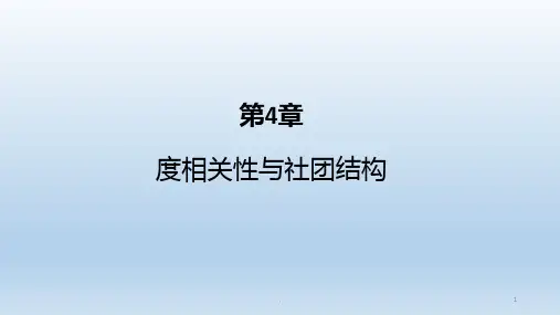 复杂网络(度相关性与社团结构)PPT课件